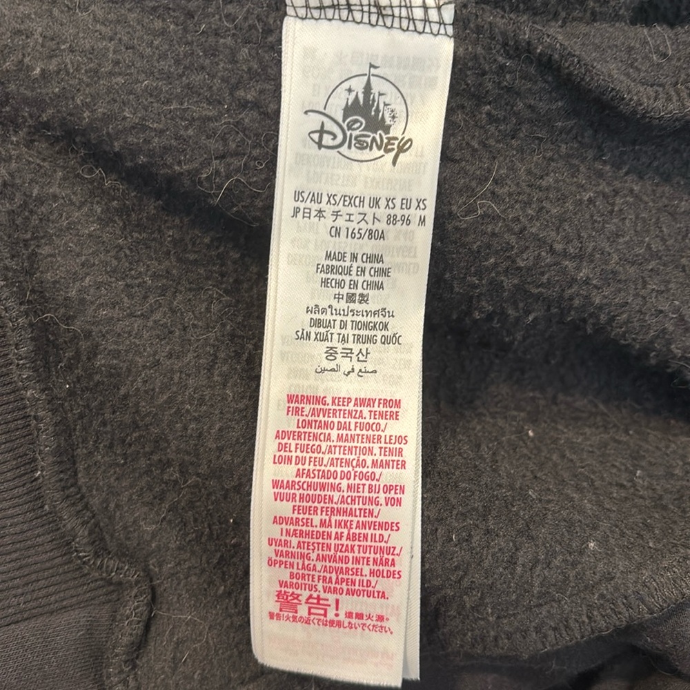 Disneyland Resort Zip Up Hoodie - Picture 7 of 7